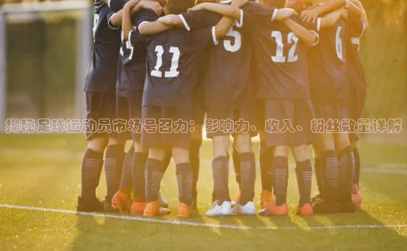 恒盛娱乐app华策影视揭秘足球运动员市场号召力：影响力、收入、粉丝数量详解