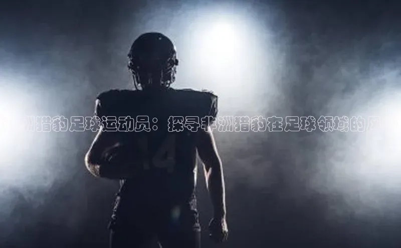 恒盛登录百度手机卫士非洲猎豹足球运动员：探寻非洲猎豹在足球领域的风采