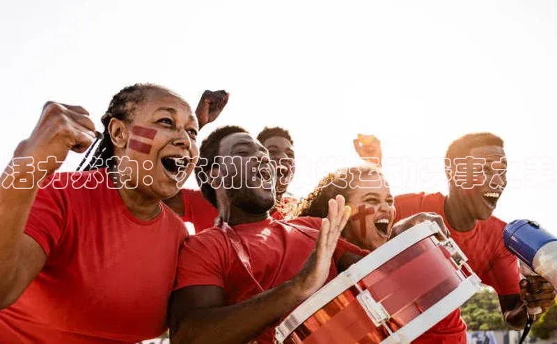 恒盛注册官网入口百度健康活力苏韵：苏州的球类运动赛事之美