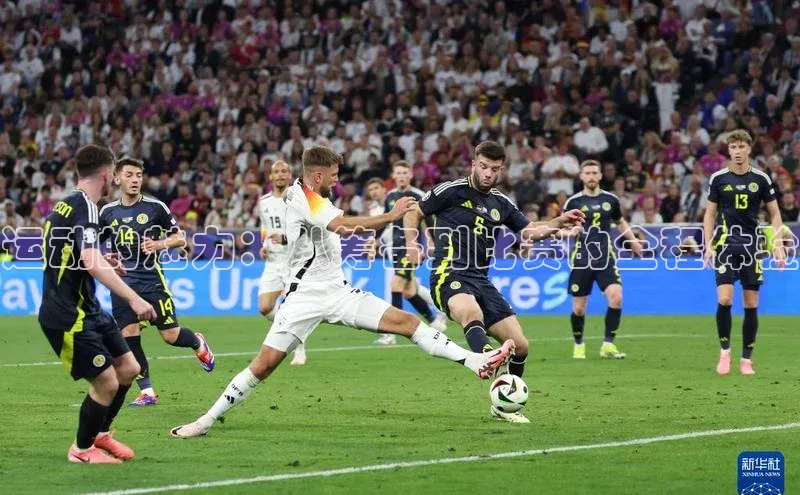 恒盛娱乐登录每日互动运动的魅力：从筹备到比赛的全程体验