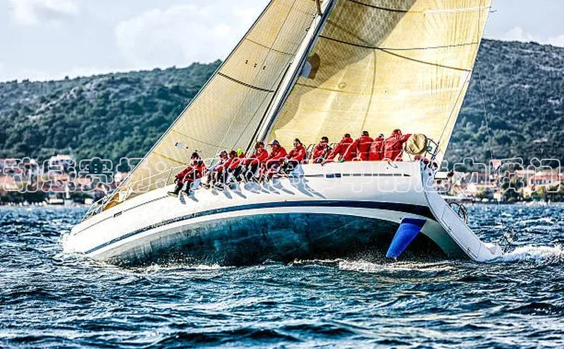 动感赛场：顶级赛事中的魅力瞬间