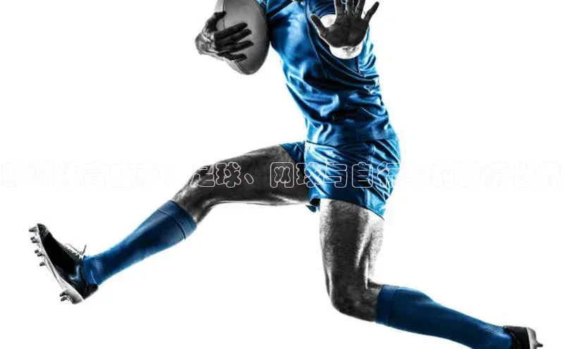 欧洲体育盛事：足球、网球与自行车的激情世界