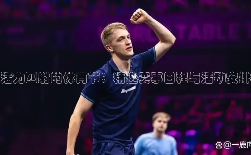 活力四射的体育节：精选赛事日程与活动安排