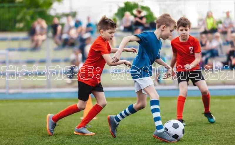 瑞安运动盛事：赛会的魅力与活力