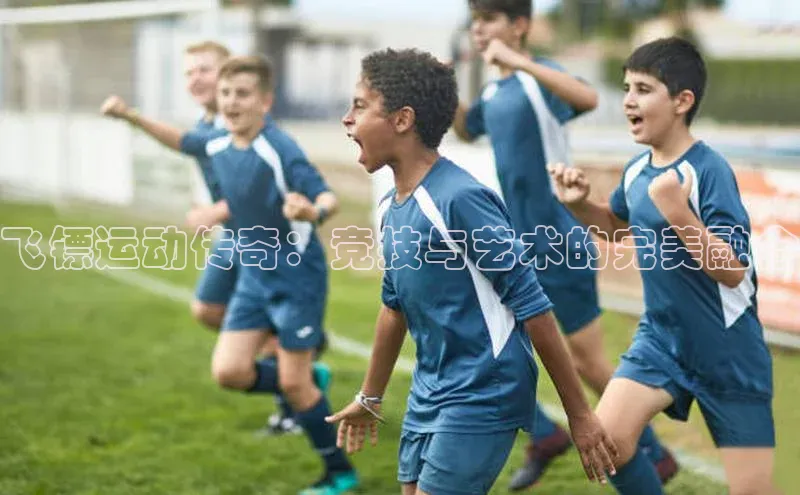 飞镖运动传奇：竞技与艺术的完美融合