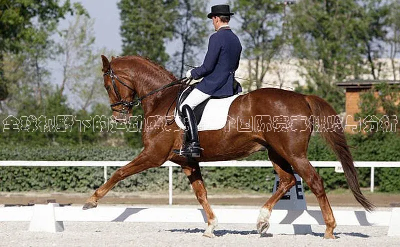 全球视野下的运动盛事：一个国际赛事概览与分析