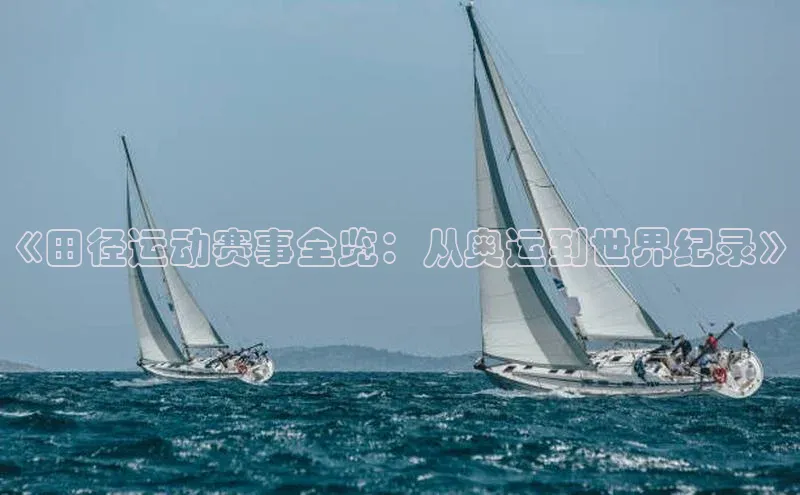 《田径运动赛事全览：从奥运到世界纪录》