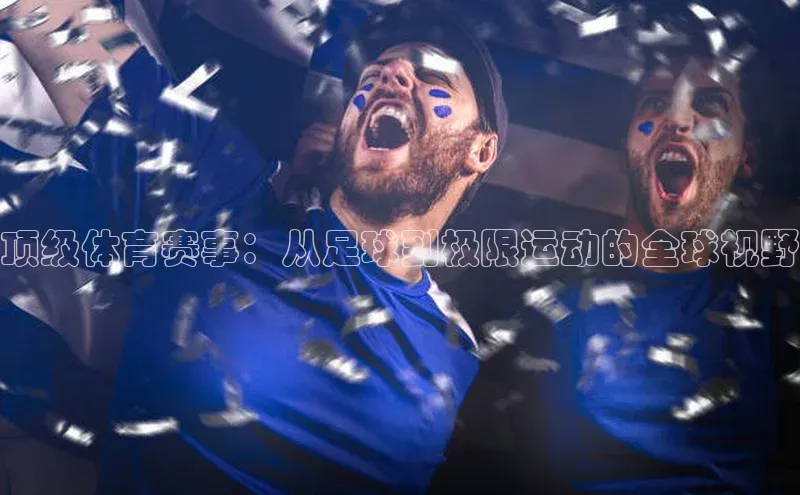顶级体育赛事：从足球到极限运动的全球视野