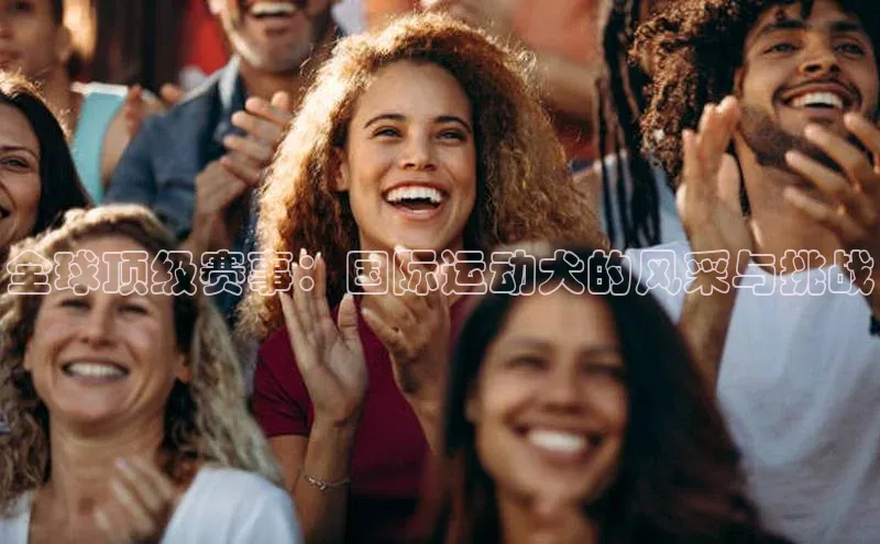 恒盛平台登录入口网页版