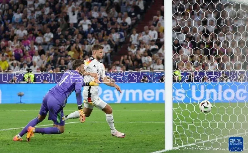 萌宠运动大会：让爱宠尽展活力的竞技场